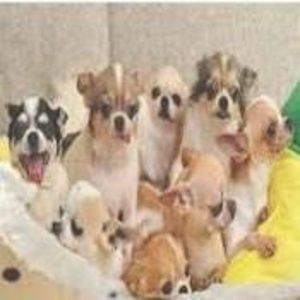 Meet your Posher, Johnny